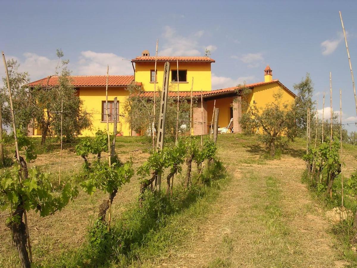 Villa in campagna Costa al Bagno Montopoli in Val dʼArno Esterno foto